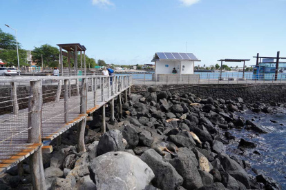 Se contempla la construcción de muelles en Santa Cruz y San Cristóbal, adaptados para recibir carga con medidas de bioseguridad.