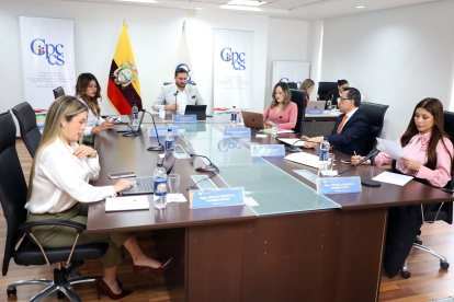 El Pleno del Consejo de Participación Ciudadana se compone de siete consejeros.