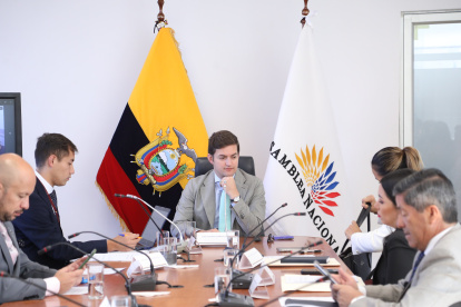 El asambleísta oficialista Esteban Torres preside la comisión ocasional.