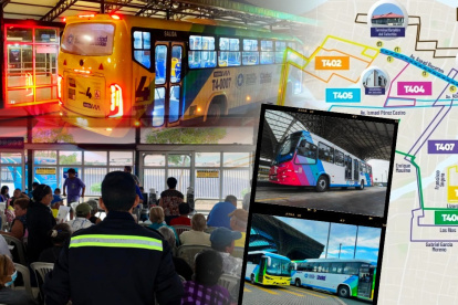 Este 29 de junio, seis líneas de buses dejarán de operar de manera definitiva en el ciudad.