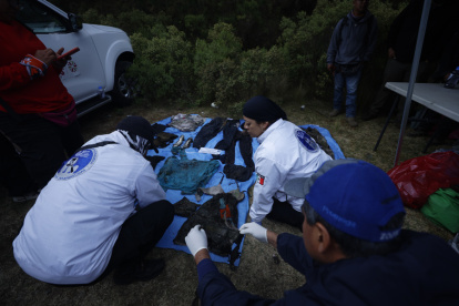 Peritos de la Fiscalía General de Justicia durante una jornada de búsqueda en marzo pasado.