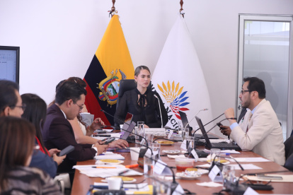 La oficialista Rosa Torres preside la Comisión de Justicia.