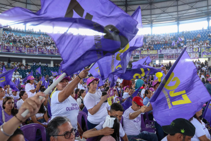 El movimiento ADN apoyó las últimas reformas electorales que cambiaron el método de asignación de escaños.