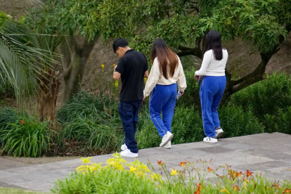 Agresión escolar evidencia alarmante violencia adolescente y la falta de control en los espacios públicos.