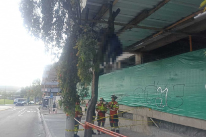 Trabajador muere en obra: cuerpo fue hallado sobre un árbol en la avenida 12 de Octubre y Tarqui, norte de Quito.