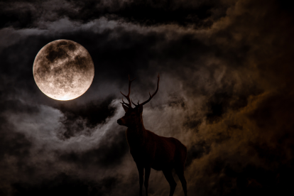 Se podrá observar la Luna del Ciervo este mes de julio.