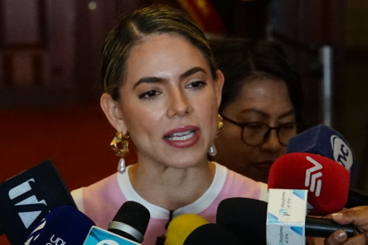 Desde la Asamblea, Rosa Torres se pronuncia sobre paridad en binomios y cambios a norma electoral