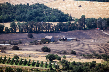 Vista de una de las zonas quemadas por el primer gran incendio forestal del año en España.