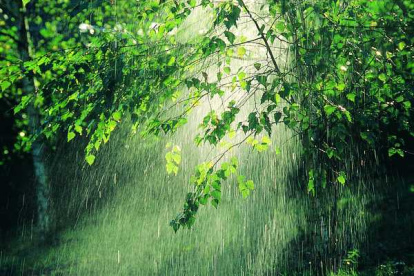 Gobierno activa plan de emergencia y asistencia urgente en la Amazonía ecuatoriana.