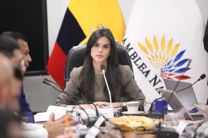 Diana Jácome, presidenta de la Comisión de Transparencia hizo el pedido al CAL para llevar la investigación de la entrega de bonos a su mesa legislativa.