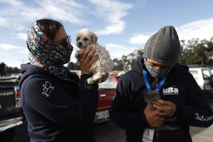 En un operativo realizado en el mercado Las Cuadras se encontraron perros y gatos en condiciones preocupantes.