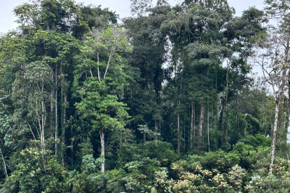 La intervención militar incluyó el despliegue de unidades tácticas, inteligencia operativa y reconocimiento aéreo con helicópteros Airbus H225.