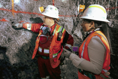 Para la ministra, aquellas empresas cuyos proyectos "superan su capacidad de inversión" deberían considerar entregar sus derechos mineros.
