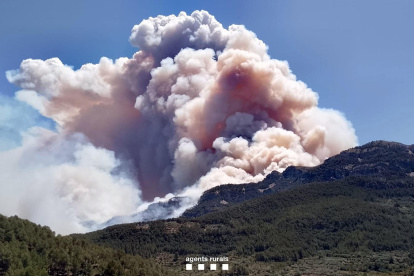 El incendio forestal de Paüls (Tarragona) afecta ya a cerca de 2.900 hectáreas de masa forestal hasta el momento.