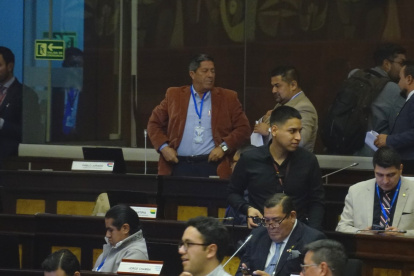 El asambleísta aliado del oficialismo Pablo Jurado mocionó la terna en la que incluyó a su alterno.