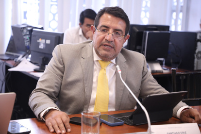 Díaz Asque llegó a la Asamblea Nacional como suplente de Priscila Schettini.