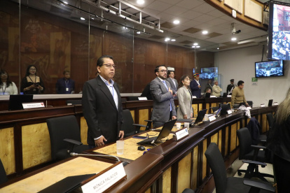 Roque Ordóñez (derecha) y Patricia Núñez, asambleístas del correísmo, apoyaron proyecto de Santiago Ordóñez.