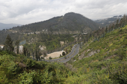 Actualidad. Las fuertes lluvias de los últimos meses han hecho su trabajo y las laderas, antes grises, hoy reverdecen, en medio de árboles muertos tras el incendio del 2024.