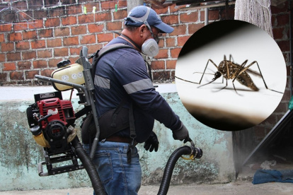 El Municipio de Guayaquil fumiga dentro y fuera de las viviendas para reducir la presencia de vectores y roedores.