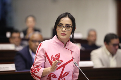 La legisladora del correísmo Viviana Veloz respondió a Nathaly Morillo, en medio del debate de la Ley de Áreas Protegidas.