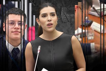 La sesión del CAL trató los hechos ocurridos en la Comisión de Transparencia el 2 de julio