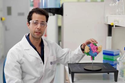 Descubren un nanocuerpo capaz de neutralizar los virus mortales de Hendra y Nipah