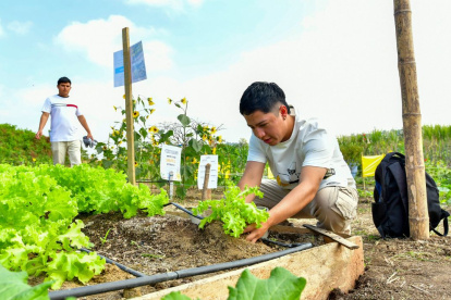 La práctica agrícola transforma la formación universitaria