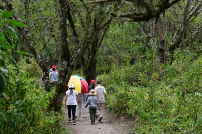 El parque Los Algarrobos es el escenario para que escuelas de Cumbayá organicen campamentos vacacionales y caminatas al aire libre.