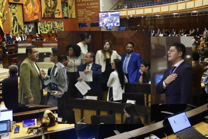 La mayoría de los asambleístas (47,01 %), en este periodo legislativo, tienen titulo de tercer nivel.