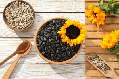 Semillas de girasol en su forma natural, listas para ser incorporadas a una dieta saludable que favorece el corazón, la piel y el metabolismo.