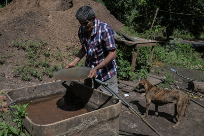 Francisco Osorio trabaja en su mina en el distrito de Serra Pelada, en Curionopolis, estado de Pará, Brasil, el 22 de junio de 2025.