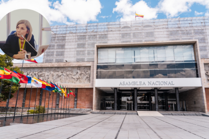 Sybel Martínez, de Rescate Escolar, acudió a la Comisión de la Niñez y Adolescencia de la Asamblea Nacional.