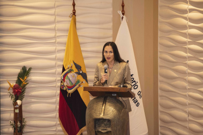 La ministra de Energía, Inés Manzano, en una rueda de prensa.