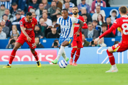 El lateral Pervis Estupiñán es titular indiscutible en el Brighton inglés.