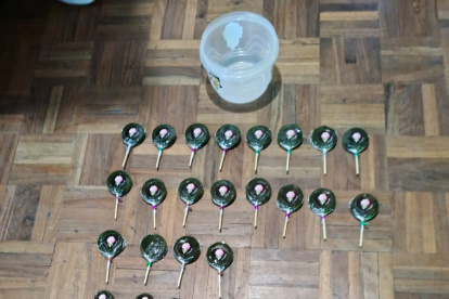 En la vivinda se encontró gomitas y 43 paletas de una sustancia de color verde.