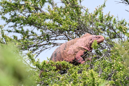 El Gobierno pretende incentivar el turismo local y nacional, con la medida.
