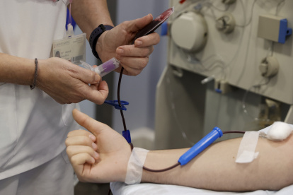 Identifican 250 proteínas en sangre que pueden revelar la gravedad de la malaria.