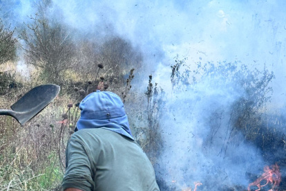 Ciudadano fue sancionado por provocar incendio forestal en Tumbaco, en Quito