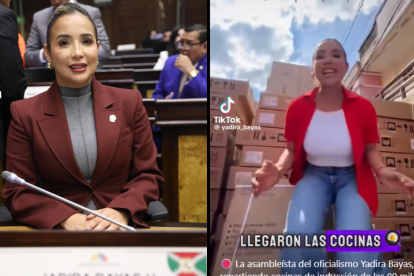 Jadira Bayas, asambleísta de ADN, en el Pleno y en un video en el que aparece con decenas de cocinas de inducción, en campaña electoral.