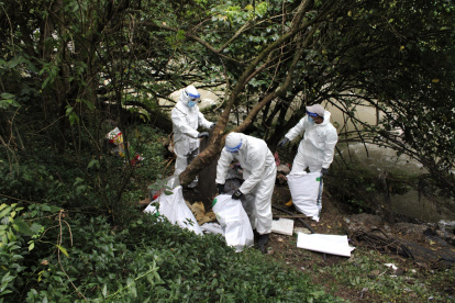 Se identificaron otros nueve punto altamente contaminados.