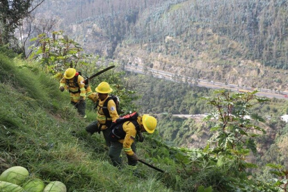 Se limpian los terrenos cubiertos de maleza, hierba seca, ramas y material vegetal acumulado.
