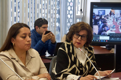 La ministra del Trabajo Ivonne Núñez quedó como primera opción en la terna de Ejecutivo para la Judicatura.