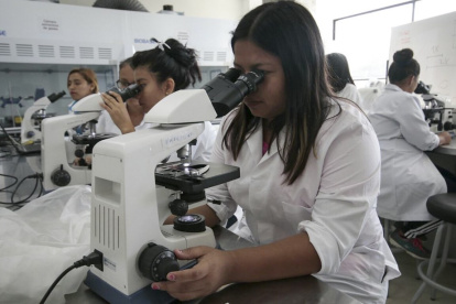 Expertos brindan recomendaciones para potenciar la formación de profesionales técnicos en el Ecuador.