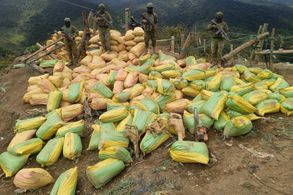 Militares desactivaron explosivos y confiscaron equipos en zonas de minería ilegal