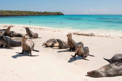 Referencial. Autoridades de Galápagos declaran estado de advertencia y piden extremar precauciones