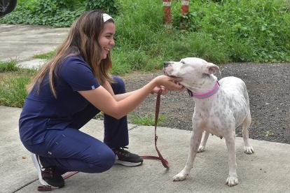 El trabajo coordinado entre ciudadanía y autoridades ha permitido rescatar a miles de animales en Guayaquil.