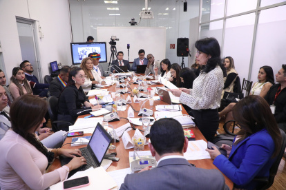 El 22 de julio de 2025, Solanda Goyes presentó sus descargos en la Comisión de Fiscalización de la Asamblea.