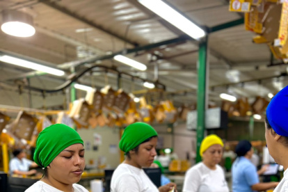 EE.UU. elevó del 10 al 15 % el arancel recíproco para los productos de Ecuador que importe.