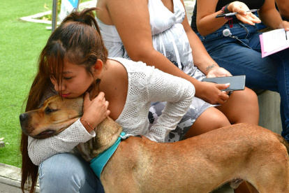 Jornada de bienestar animal este 2 de agosto.