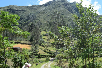 Senderos ecológicos, avistamiento de aves y turismo comunitario son algunas de las ofertas de la región.